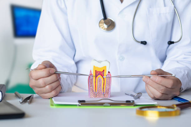 Best Emergency Dental Services for Seniors in Sherwood, OR